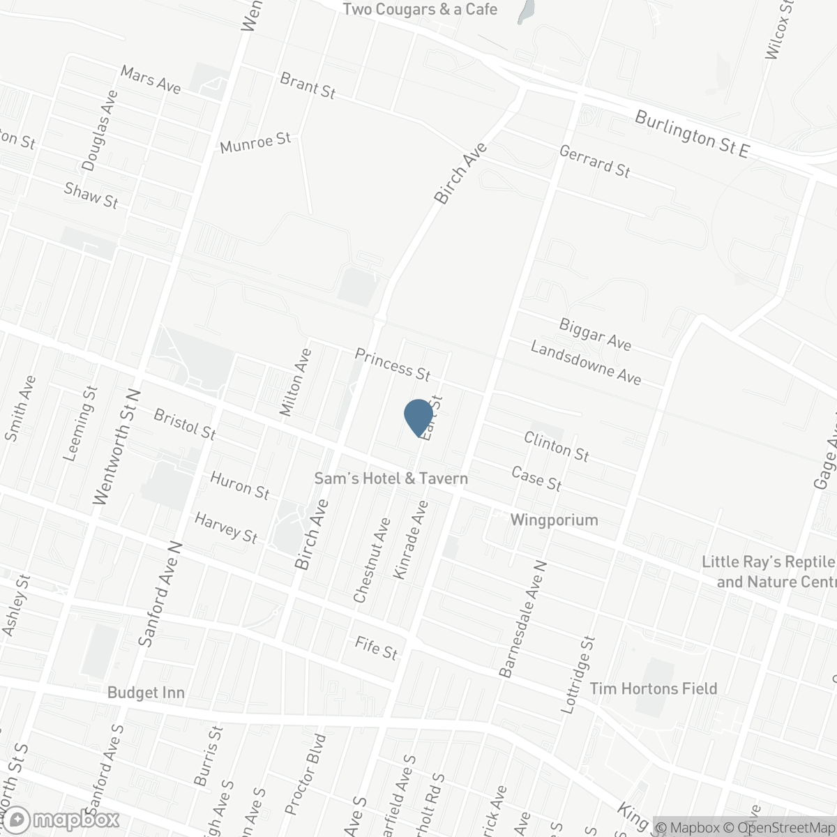 39 EARL Street, Hamilton, Ontario L8L 6L1